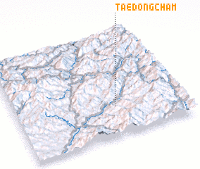 3d view of Taedongch\