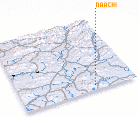 3d view of Naach\