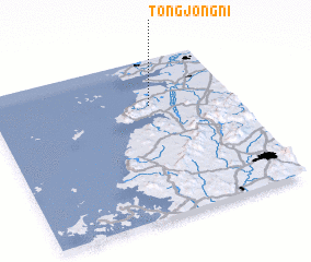 3d view of T\