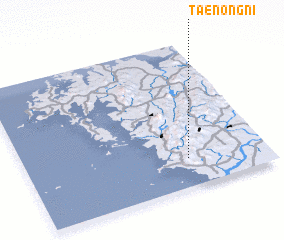 3d view of Taenong-ni