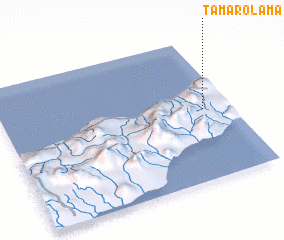 3d view of Tamaro Lama