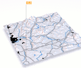 3d view of Omi