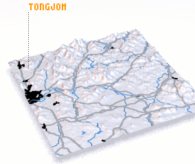 3d view of Tongjŏm