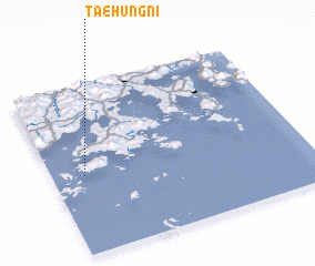 3d view of Taehŭng-ni