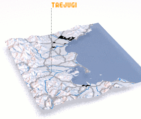 3d view of T\