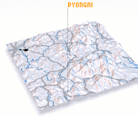 3d view of P\