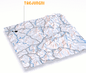 3d view of Taejung-ni