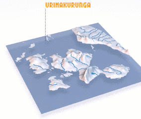 3d view of Urimakurunga