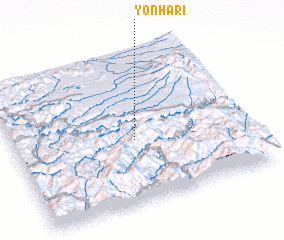 3d view of Yŏnha-ri