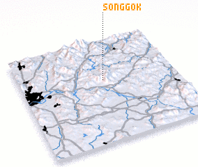 3d view of Sŏnggok