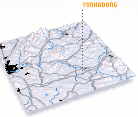 3d view of Yŏnha-dong