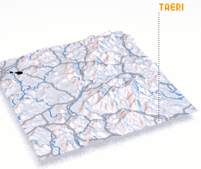 3d view of Tae-ri