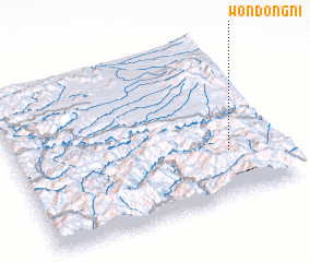 3d view of Wŏndong-ni