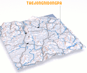 3d view of Taejŏngnidongp\