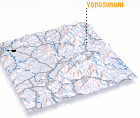 3d view of Yŏngsŭng-ni