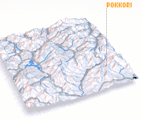 3d view of Pokkŏ-ri