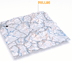 3d view of Pullae