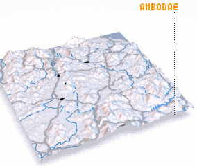 3d view of Ambodae