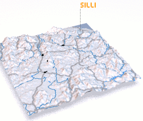 3d view of Sil-li