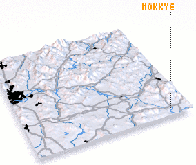 3d view of Mokkye