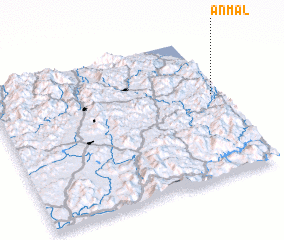 3d view of Anmal