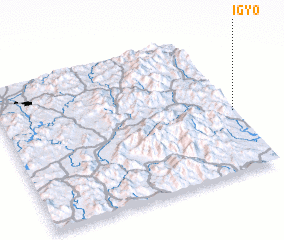 3d view of Igyo