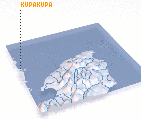 3d view of Kupakupa