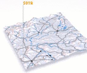 3d view of Soya