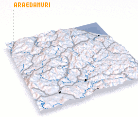 3d view of Araedamuri