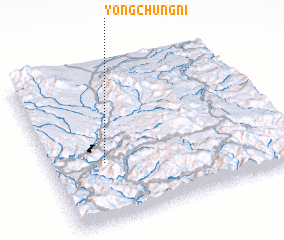 3d view of Yŏngch\