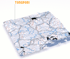 3d view of Tongp\