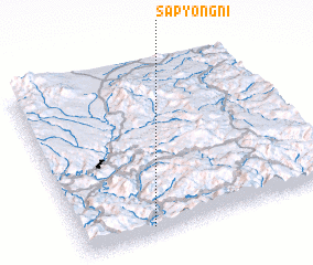 3d view of Sap\