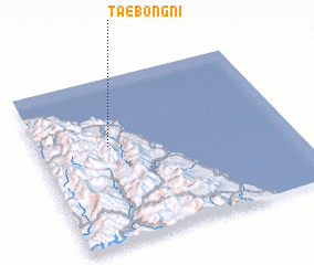 3d view of Taebong-ni