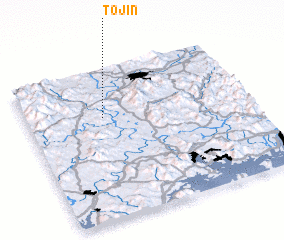 3d view of Tojin