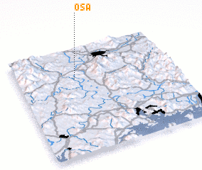 3d view of Osa