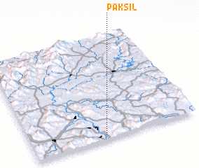 3d view of Paksil