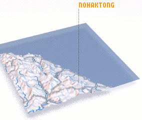 3d view of Nohak-tong