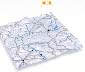3d view of Nusil