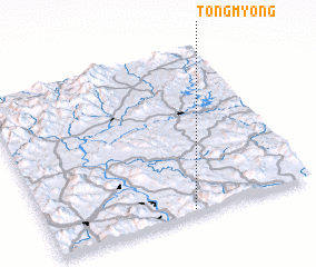 3d view of Tongmyŏng