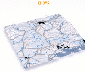 3d view of Choya