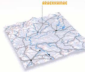 3d view of Araekkwinae