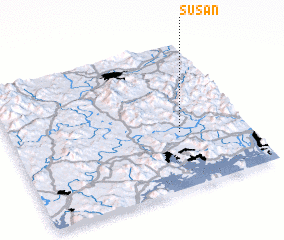 3d view of Susan