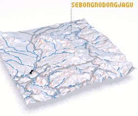 3d view of Sebong-nodongjagu