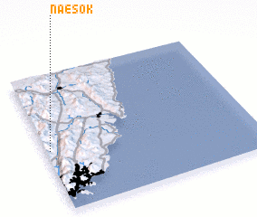 3d view of Naesŏk