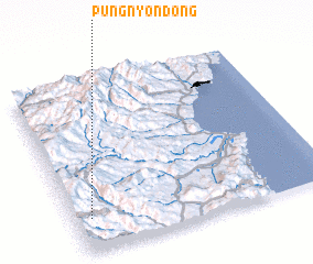 3d view of Pungnyŏn-dong