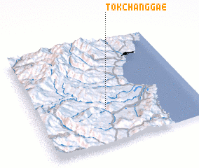 3d view of Tokchanggae