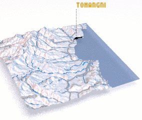 3d view of T\