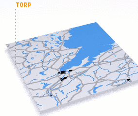 3d view of Torp