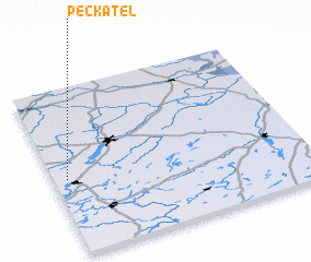 3d view of Peckatel