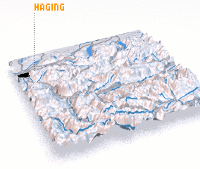 3d view of Haging